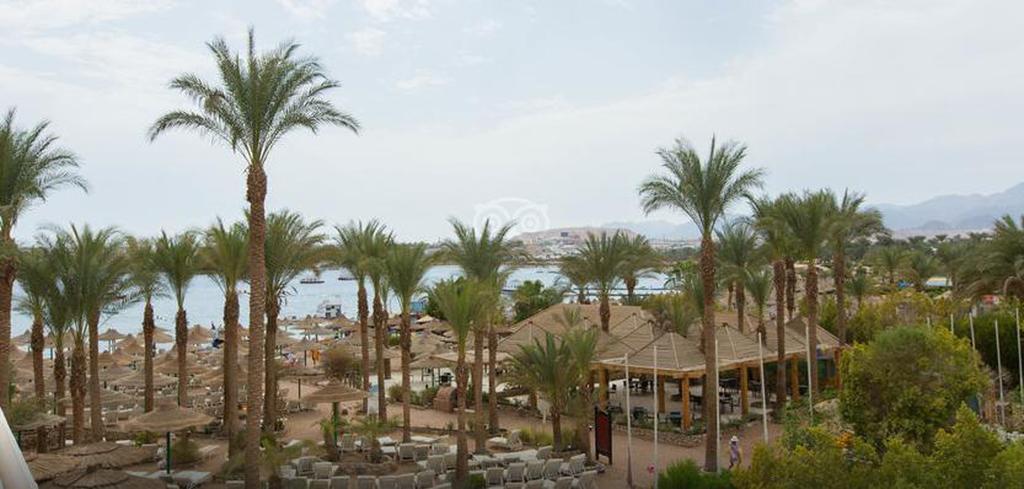 Oonas Dive Club Hotel Sharm el-Sheikh Exterior photo